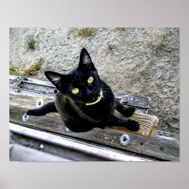 I'm Waiting Poster (Front)