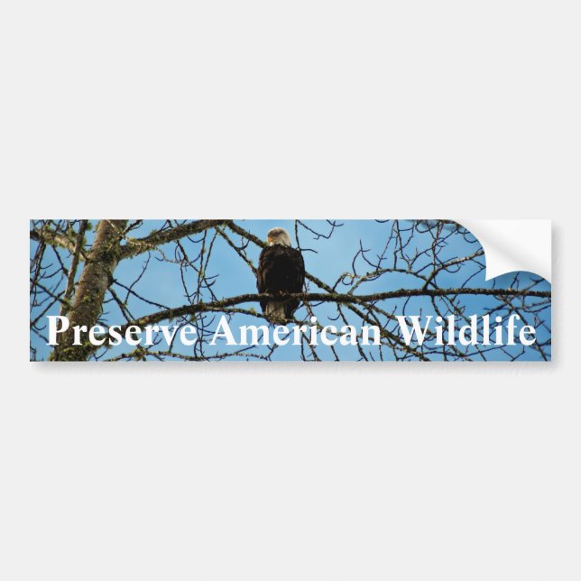 I'm Watching You Bumper Sticker (Front)