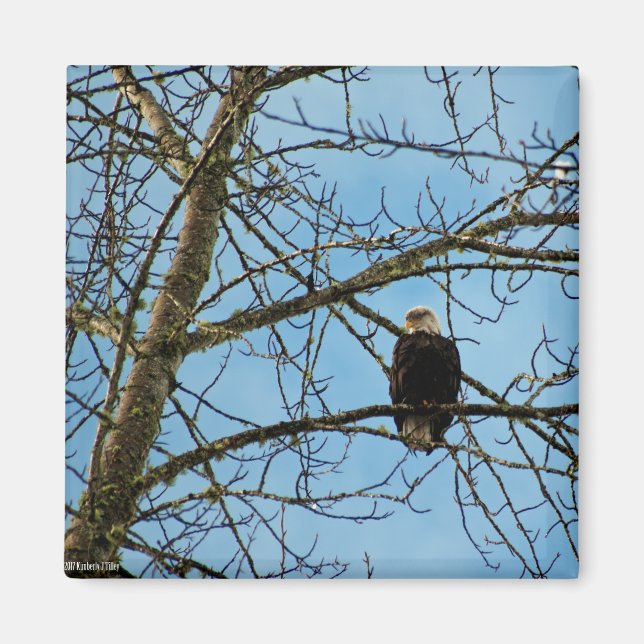 I'm Watching You Magnet (Front)