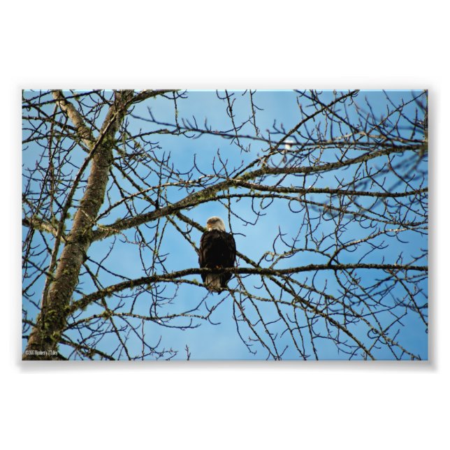 I'm Watching You Photo Print (Front)