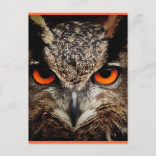 I'm Watching You! Postcard