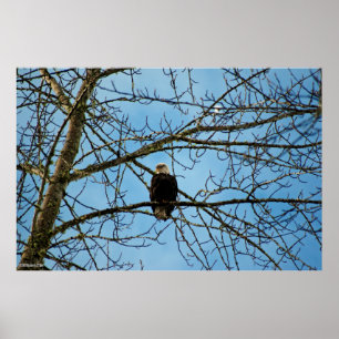 I'm Watching You Poster