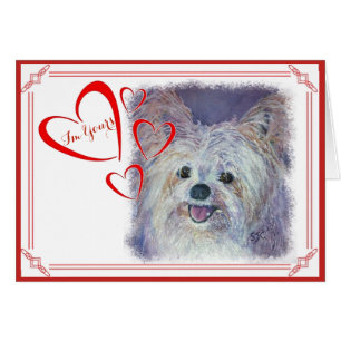 I'M YOURS VALENTINE CUTE WHITE YORKIE MIX