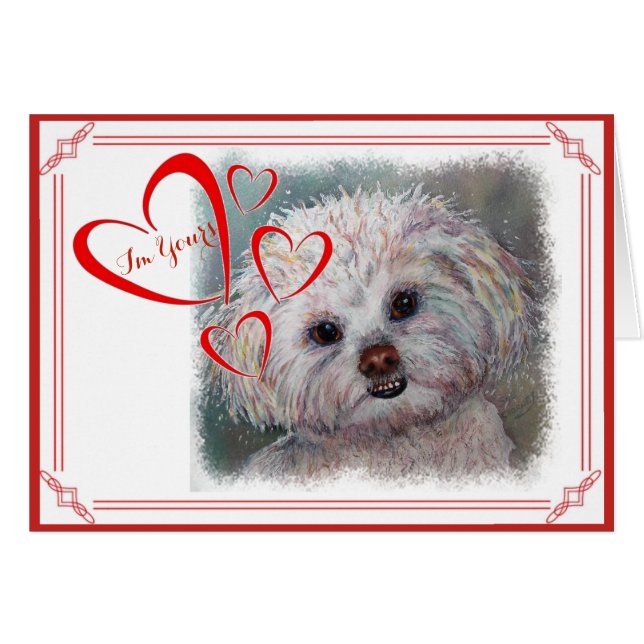 I'M YOURS VALENTINE SWEET WHITE MALTESE YORKIE MIX (Front Horizontal)