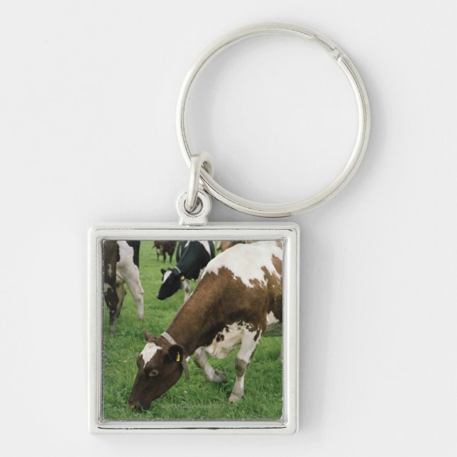 ima28991 key ring (Front)
