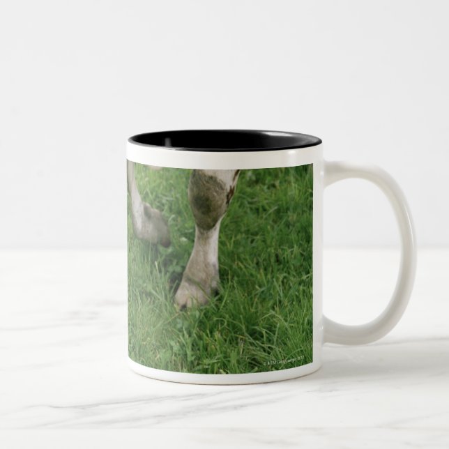 ima28991 Two-Tone coffee mug (Right)