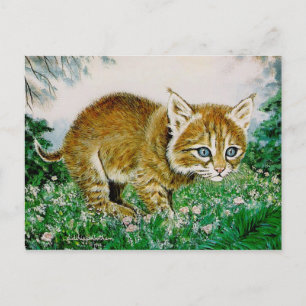 Ima Bobkitty Postcard