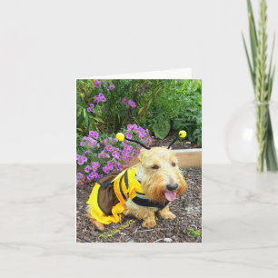 ImaBee Card