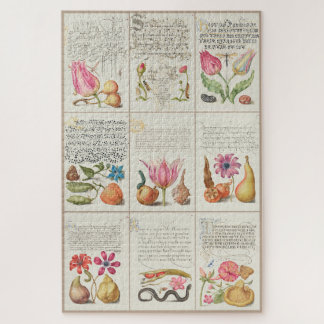 Images from Mira Calligraphiae Monumenta 004 Jigsaw Puzzle