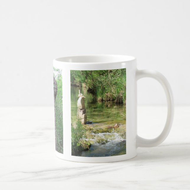 Images from Turner Falls Coffee Mug (Right)