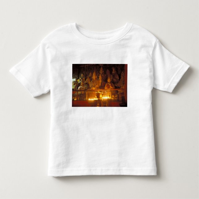 Images of Lamas at the Sara Monastery, Lhasa, Toddler T-Shirt (Front)