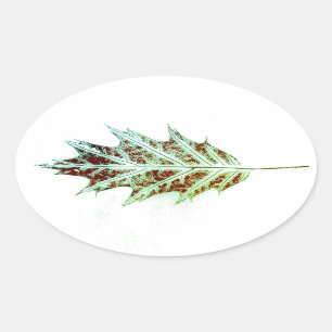 Images taken from direct nature leaf print Sticker