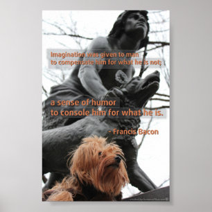 Imagination and Humor Quotation Poster