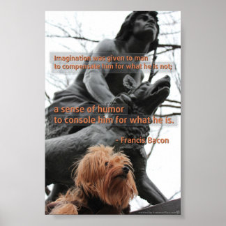 Imagination and Humor Quotation Poster