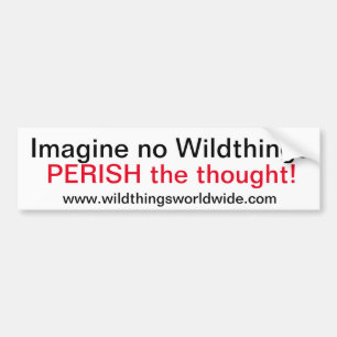 IMAGINE - Bumper Sticker