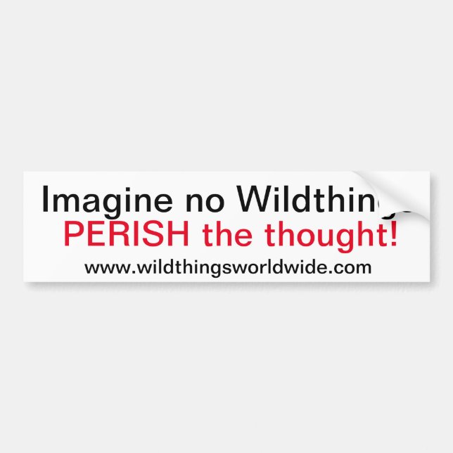 IMAGINE - Bumper Sticker (Front)