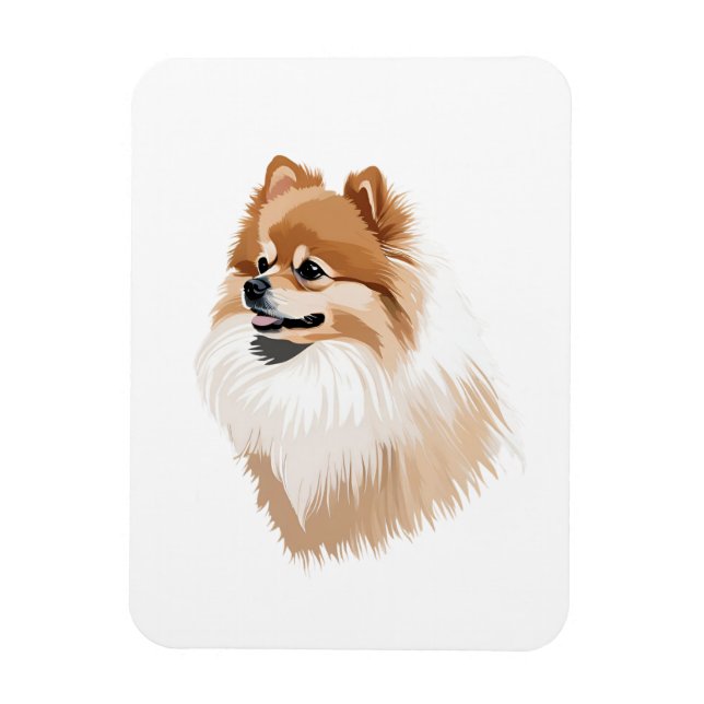Imaging a Pomeranian Dog Magnet (Vertical)