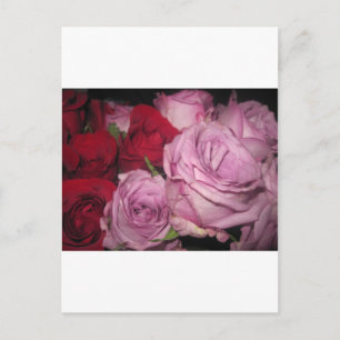 IMG_0032.JPG POSTCARD