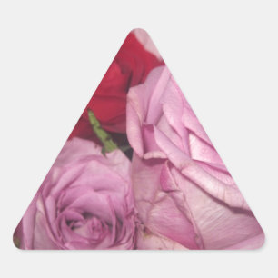 IMG_0032.JPG TRIANGLE STICKER