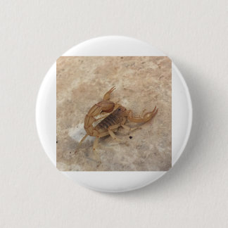 IMG_0147.JPG 6 CM ROUND BADGE