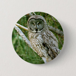 IMG_0297_2 6 CM ROUND BADGE