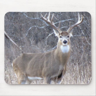 IMG_0327 MOUSE PAD