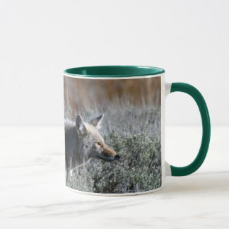 IMG_0328 MUG