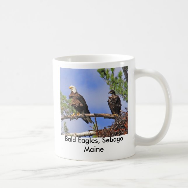 IMG_0411cn, Bald Eagles, Sebago Maine Coffee Mug (Right)