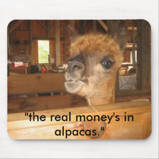 IMG_0591, "the real money's in alpacas." Mouse Pad