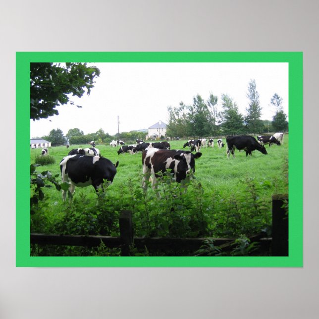 IMG_0722 POSTER (Front)