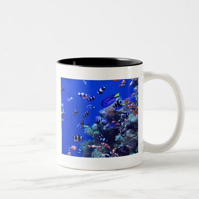 IMG_0829 Two-Tone COFFEE MUG (Right)