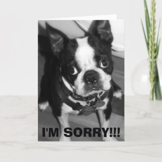 IMG_0932, I'M SORRY!!! CARD