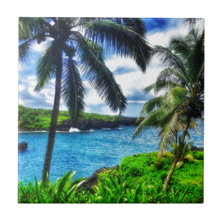 IMG_1122 4 Hawaiian Scene Ceramic Tile