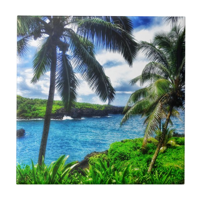 IMG_1122 4 Hawaiian Scene Ceramic Tile (Front)