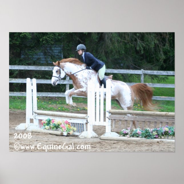 Img-1193 Poster (Front)