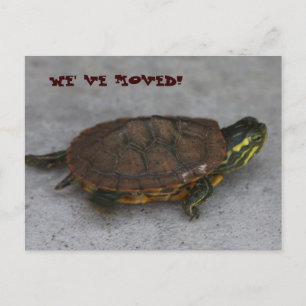 IMG_1195, WE' VE MOVED! ANNOUNCEMENT POSTCARD