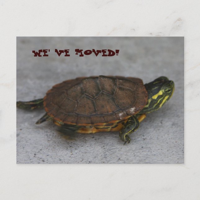 IMG_1195, WE' VE MOVED! ANNOUNCEMENT POSTCARD (Front)