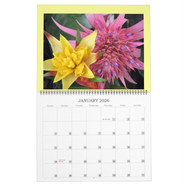 IMG_1311, 2008 CALENDER CALENDAR (Jan 2026)