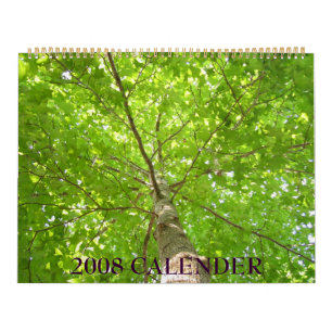 IMG_1311, 2008 CALENDER CALENDAR