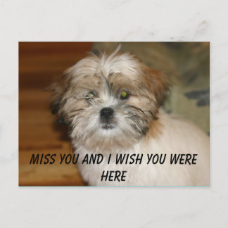 IMG_1531, Miss you and I wish you were here Postcard
