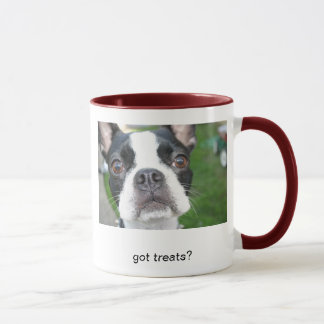 IMG_1551, got treats? Mug