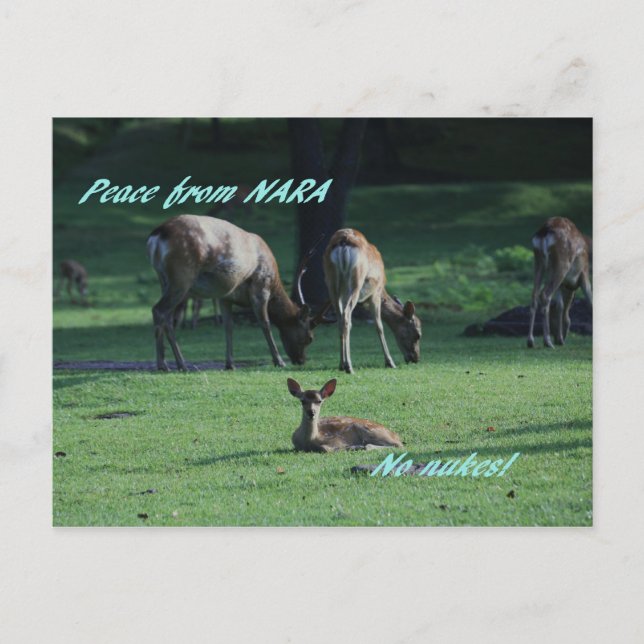 IMG_1652 NARA POSTCARD (Front)