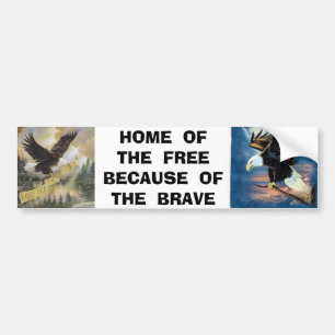 img, 22 eagle, HOME OF THE FREEBECAUSE OF ... Bumper Sticker