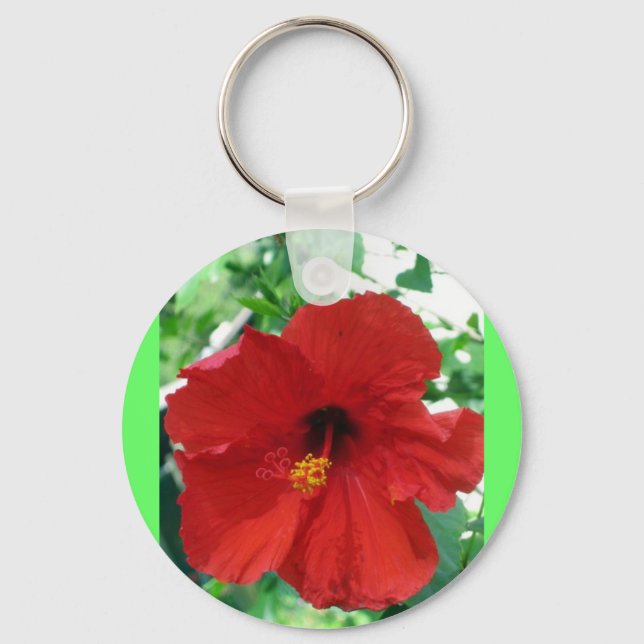 IMG_2905_edited Key Ring (Front)