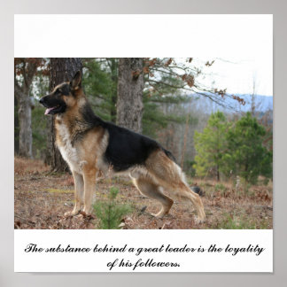 IMG_3539, The substance behind a great leader i... Poster