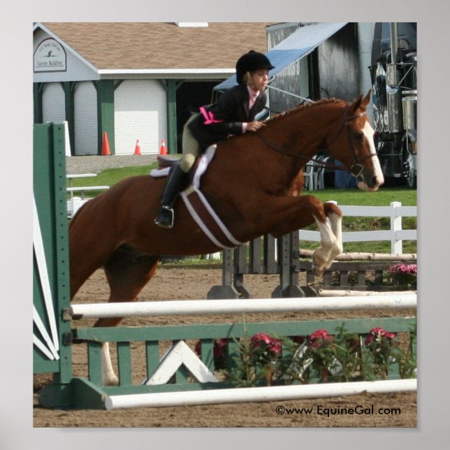 Img_3643 Poster (Front)