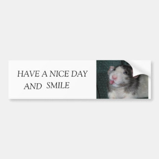 IMG_3930, HAVE A NICE DAY, SMILE, AND BUMPER STICKER