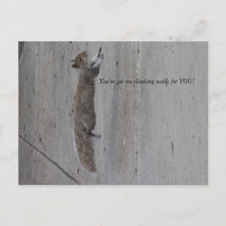 IMG_3995, You've got me climbing walls for YOU! Postcard