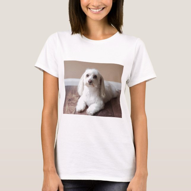 IMG_4050 T-Shirt (Front)