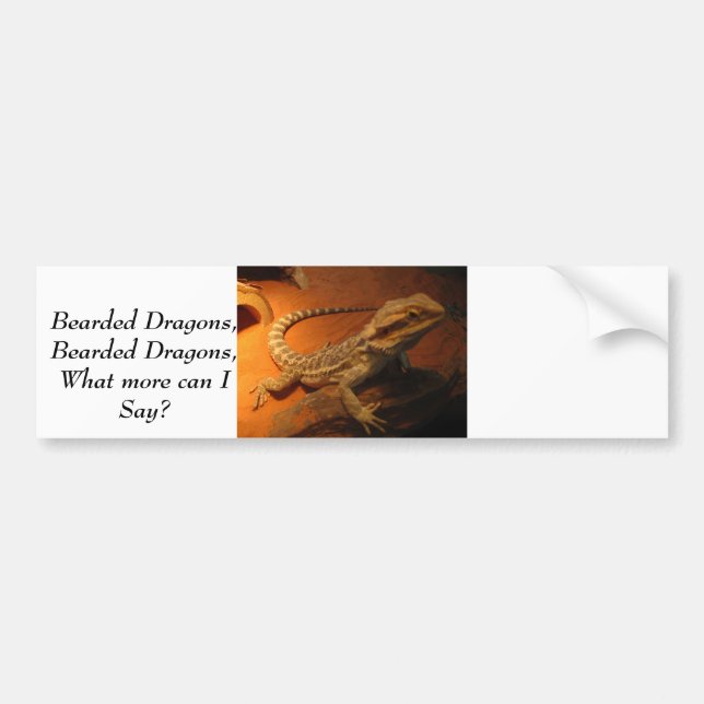 IMG_4705, Bearded Dragons,Bearded Dragons,What ... Bumper Sticker (Front)